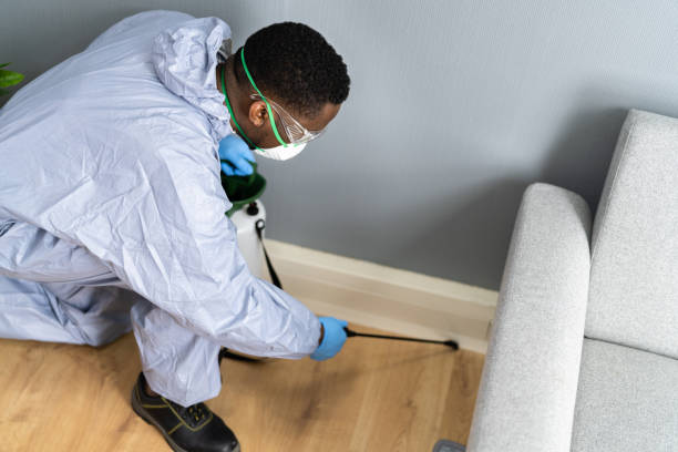 Best Real Estate Pest Inspections  in Jerome, IL